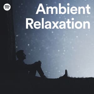 Ambient Relaxation playlist cover